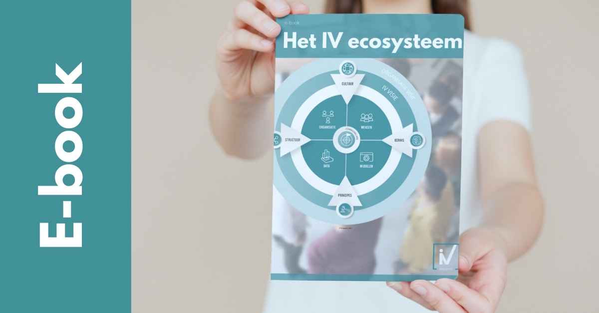 EBook Het IV ecosysteem